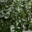 pict1171.jpg