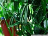_ict4739_1.jpg