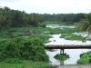 _ict5264_1.jpg