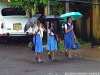 _ict5460_1.jpg