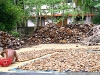 _ict5736_1.jpg