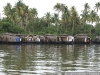 _ict6319.jpg