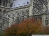 pict6776.jpg
