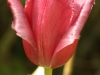 IF