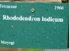 IF
