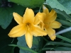 pict1091.jpg
