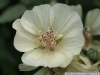 pict1102.jpg
