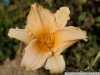 pict1106.jpg