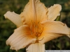 pict1107.jpg