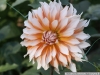 pict1129.jpg