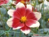 pict1132.jpg