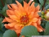 pict1134.jpg