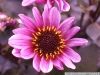 pict1142.jpg