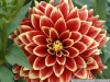 pict1149.jpg