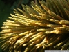 pict1153.jpg