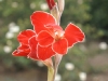 pict1161.jpg