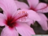 pict1169.jpg
