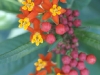 pict1193.jpg