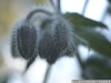 pict1230.jpg
