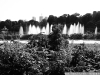DSC06220