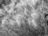 DSC06268