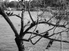 DSC06284