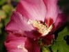 DSC06290