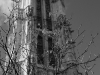 DSC06445