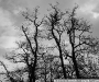 DSC07171_1