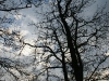 DSC07174