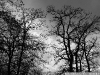 DSC07175