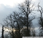 DSC07209_1
