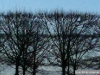 IMG_0551_1