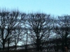 IMG_0552_1