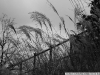 DSC07290