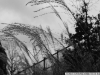 DSC07292