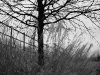 DSC07294