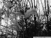 DSC07300