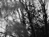 DSC07301