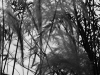 DSC07304