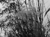 DSC07307