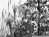 DSC07319