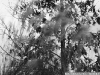 DSC07320