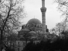 DSC07636_copy