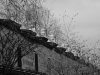 DSC07646_copy