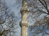 DSC07647_copy