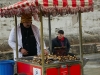 DSC07735_copy