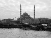 _DSC7993