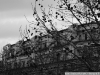 DSC08308