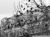 DSC08311